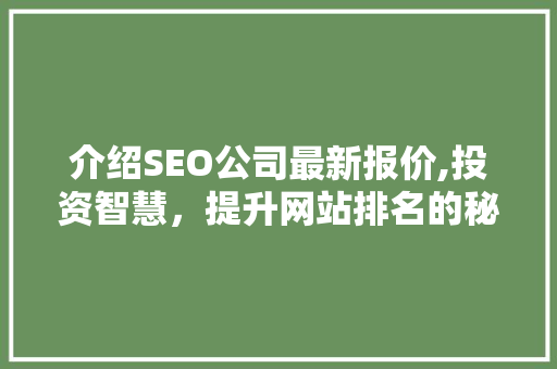 介绍SEO公司最新报价,投资智慧，提升网站排名的秘密武器