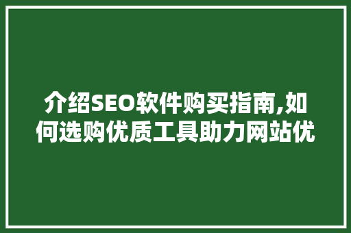 介绍SEO软件购买指南,如何选购优质工具助力网站优化
