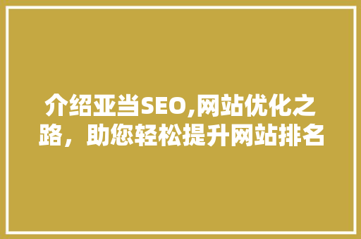 介绍亚当SEO,网站优化之路，助您轻松提升网站排名