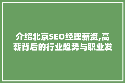 介绍北京SEO经理薪资,高薪背后的行业趋势与职业发展
