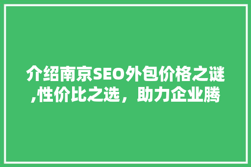 介绍南京SEO外包价格之谜,性价比之选，助力企业腾飞