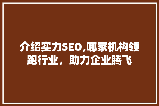 介绍实力SEO,哪家机构领跑行业，助力企业腾飞