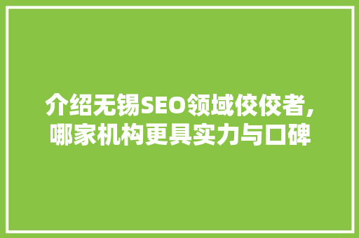 介绍无锡SEO领域佼佼者,哪家机构更具实力与口碑