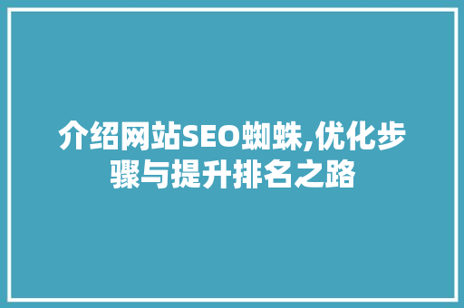介绍网站SEO蜘蛛,优化步骤与提升排名之路