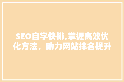SEO自学快排,掌握高效优化方法，助力网站排名提升
