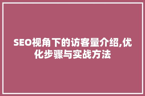 SEO视角下的访客量介绍,优化步骤与实战方法