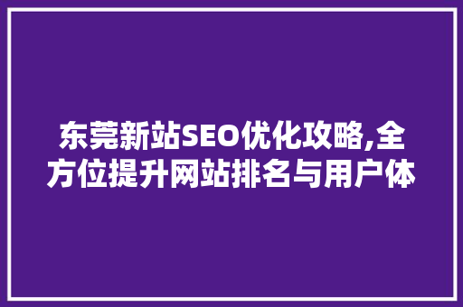 东莞新站SEO优化攻略,全方位提升网站排名与用户体验