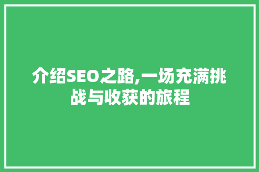 介绍SEO之路,一场充满挑战与收获的旅程