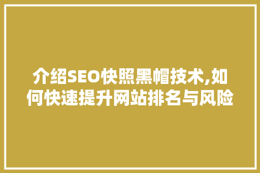 介绍SEO快照黑帽技术,如何快速提升网站排名与风险防范