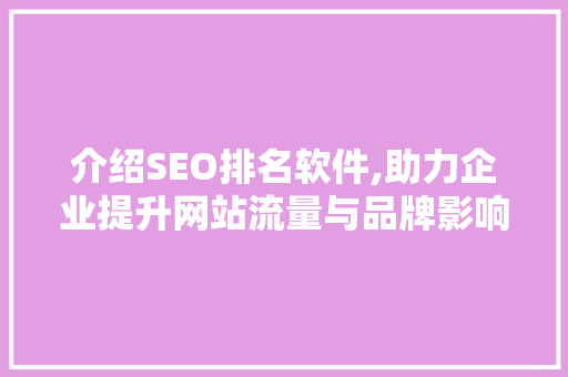 介绍SEO排名软件,助力企业提升网站流量与品牌影响力的秘密武器