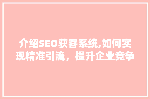 介绍SEO获客系统,如何实现精准引流，提升企业竞争力