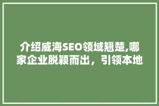 介绍威海SEO领域翘楚,哪家企业脱颖而出，引领本地搜索优化潮流