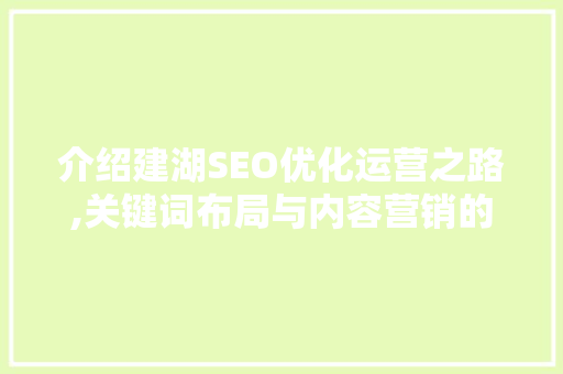 介绍建湖SEO优化运营之路,关键词布局与内容营销的艺术