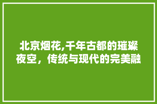 北京烟花,千年古都的璀璨夜空，传统与现代的完美融合