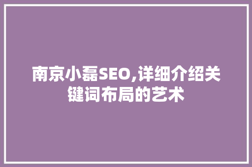 南京小磊SEO,详细介绍关键词布局的艺术