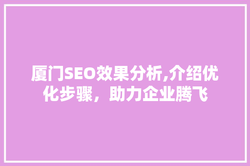 厦门SEO效果分析,介绍优化步骤，助力企业腾飞