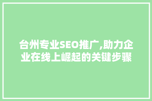 台州专业SEO推广,助力企业在线上崛起的关键步骤