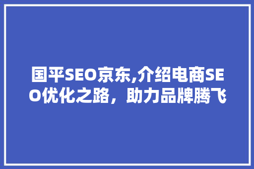国平SEO京东,介绍电商SEO优化之路，助力品牌腾飞
