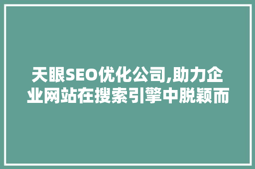 天眼SEO优化公司,助力企业网站在搜索引擎中脱颖而出