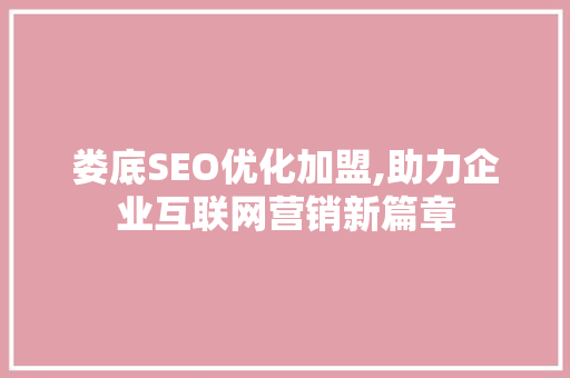 娄底SEO优化加盟,助力企业互联网营销新篇章  第1张