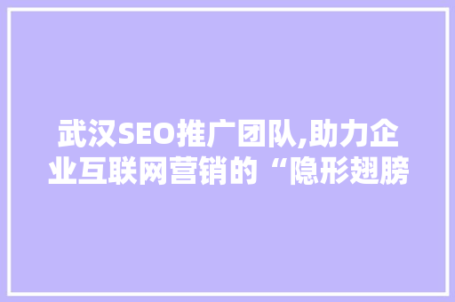 武汉SEO推广团队,助力企业互联网营销的“隐形翅膀”