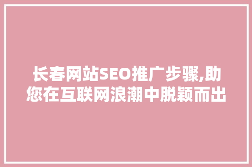 长春网站SEO推广步骤,助您在互联网浪潮中脱颖而出