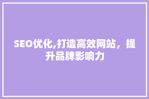 SEO优化,打造高效网站，提升品牌影响力