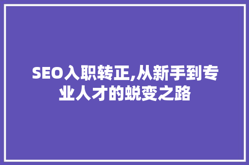 SEO入职转正,从新手到专业人才的蜕变之路