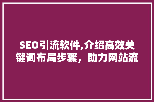 SEO引流软件,介绍高效关键词布局步骤，助力网站流量提升