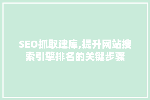 SEO抓取建库,提升网站搜索引擎排名的关键步骤