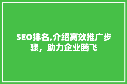 SEO排名,介绍高效推广步骤，助力企业腾飞