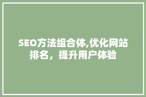 SEO方法组合体,优化网站排名，提升用户体验