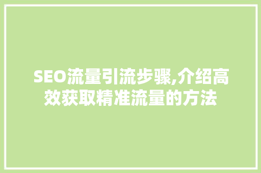 SEO流量引流步骤,介绍高效获取精准流量的方法