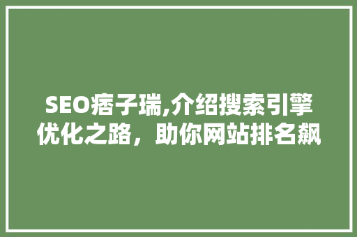 SEO痞子瑞,介绍搜索引擎优化之路，助你网站排名飙升！