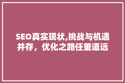 SEO真实现状,挑战与机遇并存，优化之路任重道远