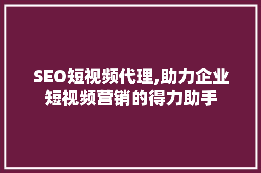 SEO短视频代理,助力企业短视频营销的得力助手
