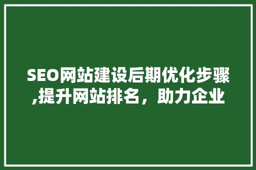 SEO网站建设后期优化步骤,提升网站排名，助力企业腾飞