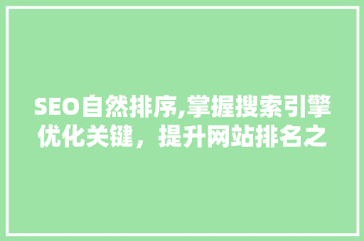 SEO自然排序,掌握搜索引擎优化关键，提升网站排名之路