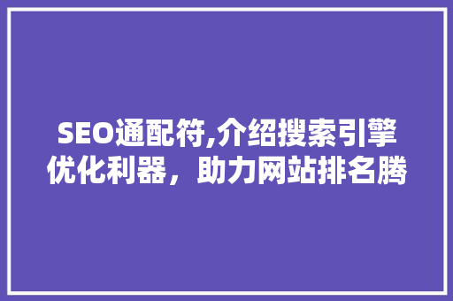 SEO通配符,介绍搜索引擎优化利器，助力网站排名腾飞