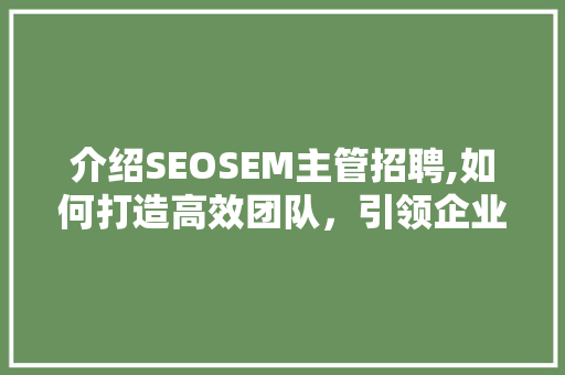介绍SEOSEM主管招聘,如何打造高效团队，引领企业营销新篇章
