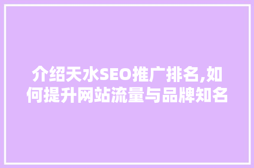 介绍天水SEO推广排名,如何提升网站流量与品牌知名度