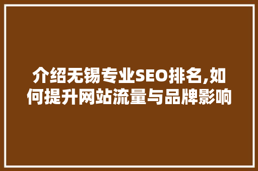 介绍无锡专业SEO排名,如何提升网站流量与品牌影响力