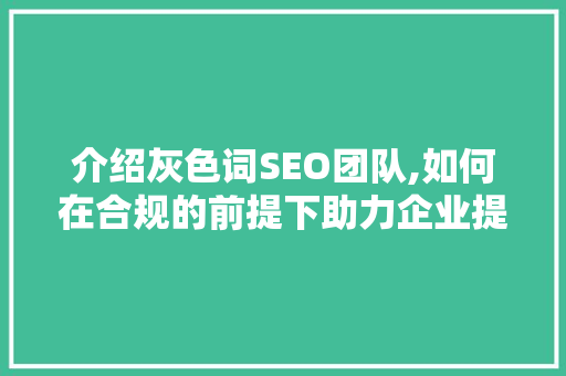介绍灰色词SEO团队,如何在合规的前提下助力企业提升搜索引擎排名