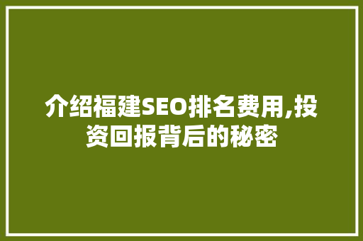 介绍福建SEO排名费用,投资回报背后的秘密