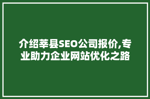 介绍莘县SEO公司报价,专业助力企业网站优化之路