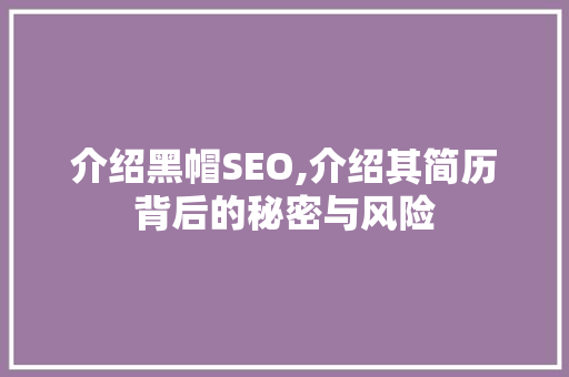 介绍黑帽SEO,介绍其简历背后的秘密与风险