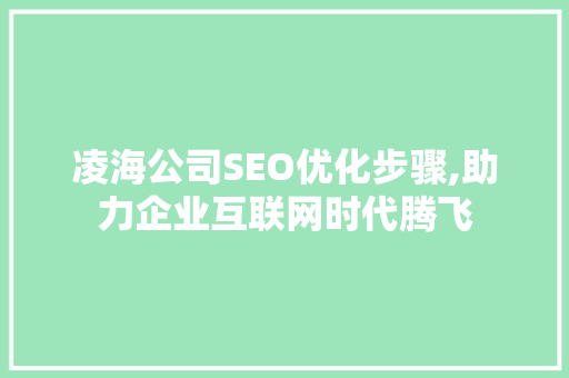 凌海公司SEO优化步骤,助力企业互联网时代腾飞