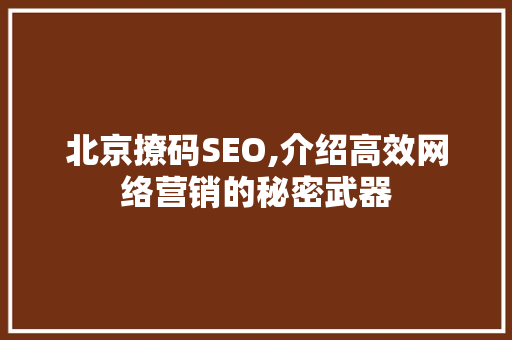 北京撩码SEO,介绍高效网络营销的秘密武器