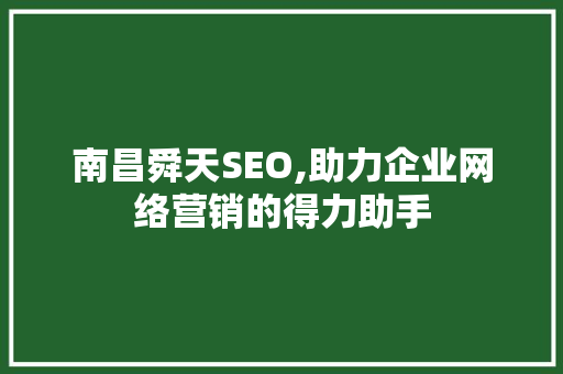 南昌舜天SEO,助力企业网络营销的得力助手