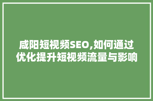 咸阳短视频SEO,如何通过优化提升短视频流量与影响力